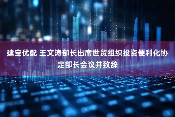 建宝优配 王文涛部长出席世贸组织投资便利化协定部长会议并致辞