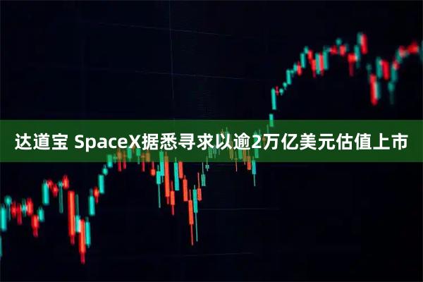 达道宝 SpaceX据悉寻求以逾2万亿美元估值上市