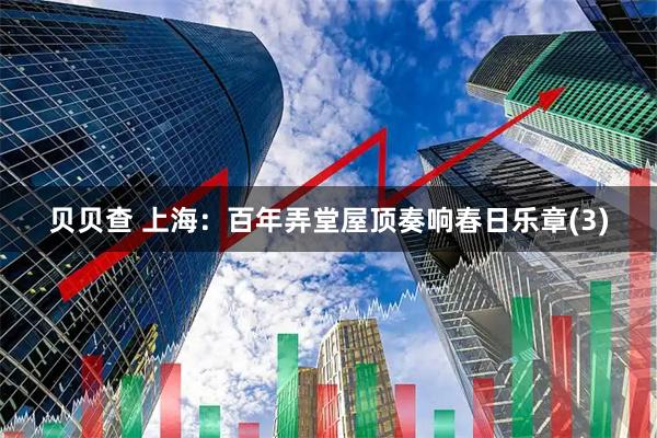 贝贝查 上海：百年弄堂屋顶奏响春日乐章(3)