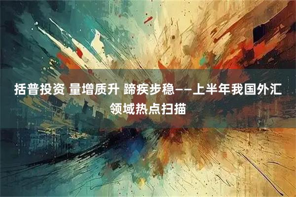 括普投资 量增质升 蹄疾步稳——上半年我国外汇领域热点扫描