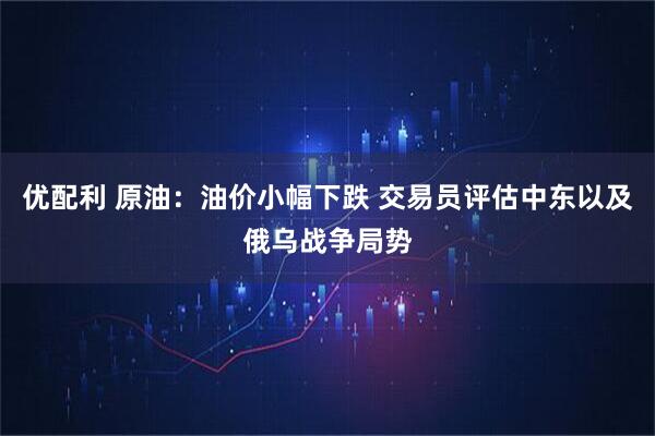 优配利 原油：油价小幅下跌 交易员评估中东以及俄乌战争局势